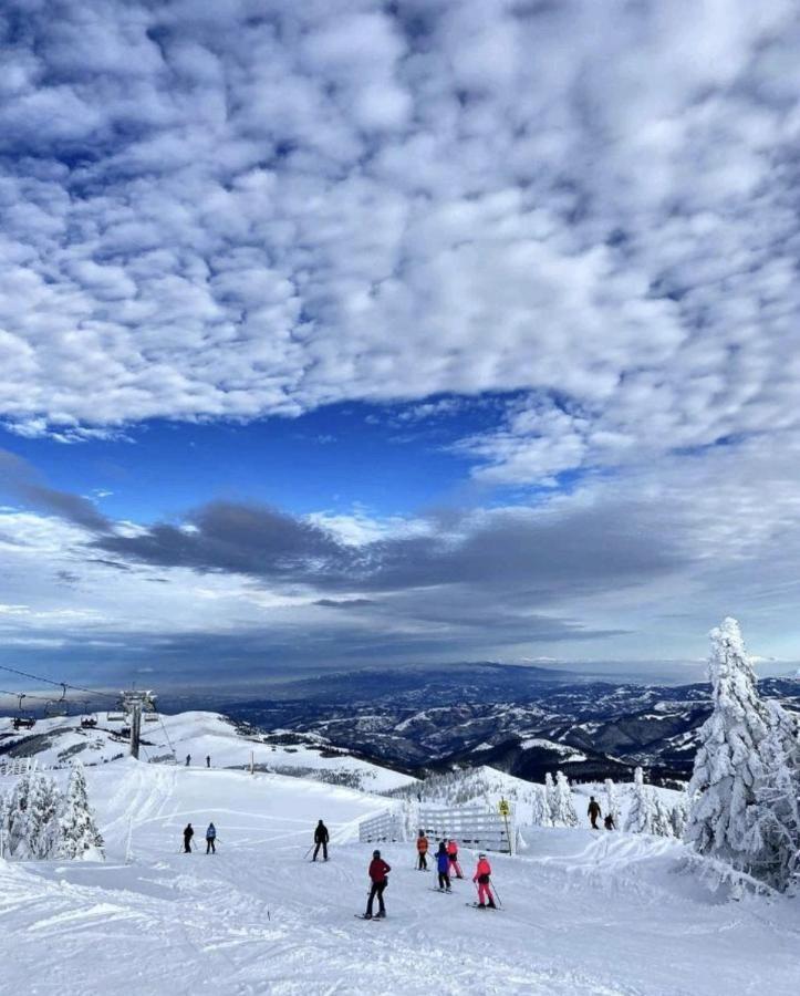 K19 Milmari Resort & Spa Kopaonik Eksteriør bilde